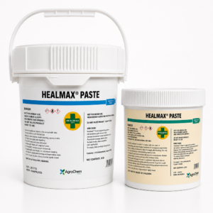 Healmax Paste