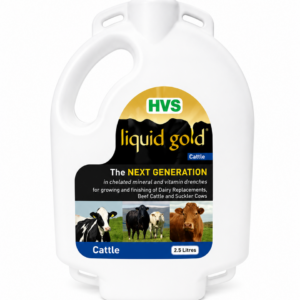HVS Liquid Gold Cattle