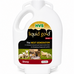 HVS Liquid Gold Sheep