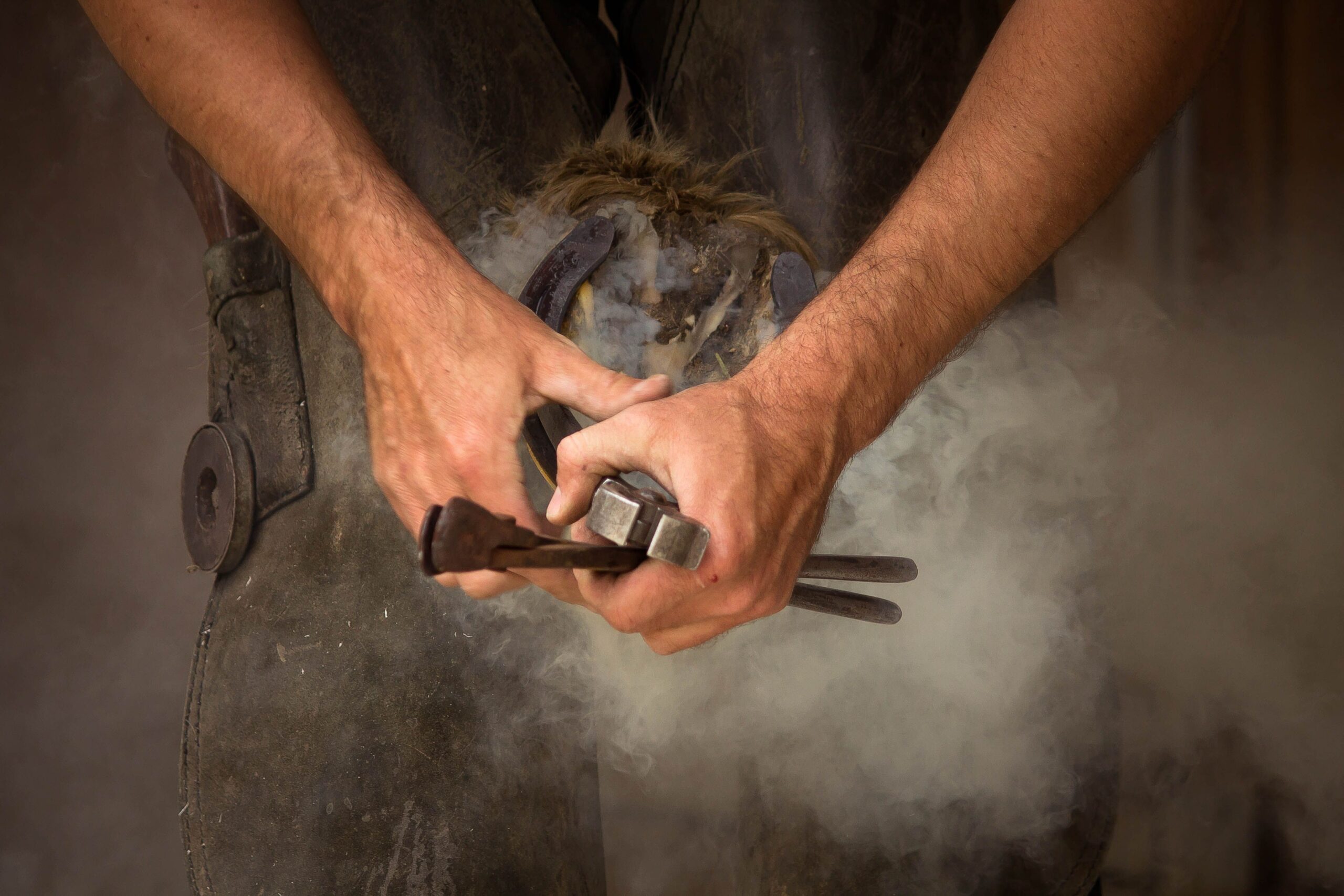 hoof trimming supplies used on hoof